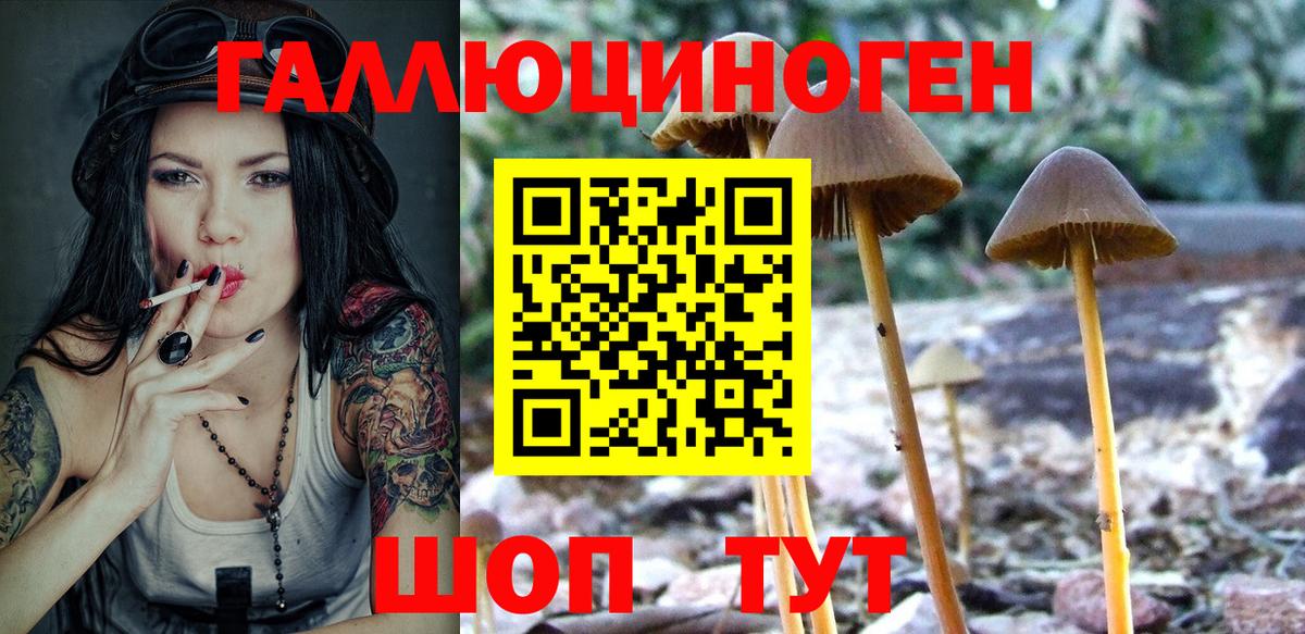 Арзамас  Псилоцибиновые грибы Cubensis  Псилоцибиновые грибы Cubensis  Вход с VPN 